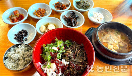 [맛대맛] 전국 육회비빔밥 맛집 vs 전국 산채비빔밥 맛집