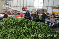 경제사업 활성화로 농가소득 이끄는 천현농협