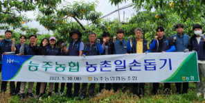전남 화순 능주농협, 복숭아 봉지씌우기 일손돕기