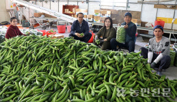 작목반 중심 농가 뭉쳐…농산물 품질·소득 향상