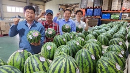 논산 성동농협, ‘스테비아 농법’ 도입해 수박농가 소득 증대 기여