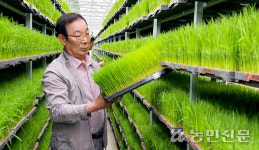 대산농협, 벼 자동화 공동육묘장 본격 운영