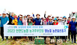 충남 태안 안면도농협, 마늘 주대 제거 등 구슬땀