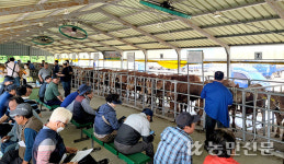 제주 서귀포시축산농협, 가축시장 개장…소 122마리 출하