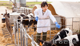 “농장동물 수의사, 전화 당일 오면 운수 좋은 날”
