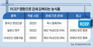 RCEP 발효로 관세 내리자…중국산 변성전분 밀려들어왔다