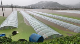 충남도, 시·군에 응급 복구비 지원