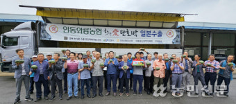 안동와룡농협 ‘햇살애 단호박’ 일본 수출