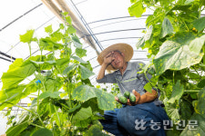 [현장 스케치] 폭염에도 농작업을 멈출 수 없는 농민들