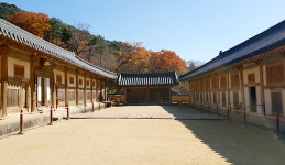 [문화 읽기] 현대건축보다 뛰어난 장경판전