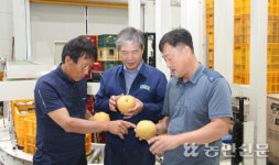 상주 사벌농협 APC, 농산물 유통 전진기지 자리매김