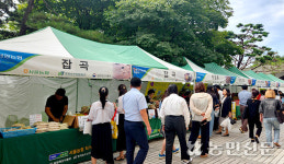 도농상생 직거래 큰장터