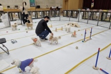 여행 떠나는 멍집사들 ‘주목’…‘댕댕이 돌봄쉼터’ 어때요