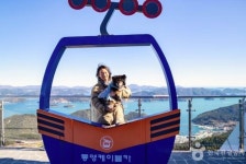 반려견과 함께 이색 여행 떠나볼까