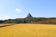 전북 진안 마이산과 가을을 함께 즐겨요