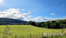언덕 밑에, 습지에…아름다운 자연과 어우러진 스카치위스키 증류소