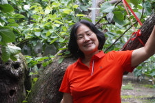 수령 90년 배나무에 ‘젤라토’가 열린 사연은