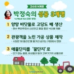 수령 90년 배나무에 ‘젤라토’가 열린 사연은