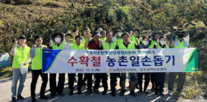 농협 진주시지부, 단감 수확 농촌일손돕기