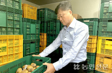 [희망취재] 저온저장고에 보관한 감자 ‘꽁꽁’…농가 피해 막심