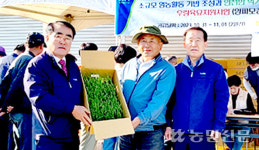 울산 울주 청량농협, 고품질 양파 모종 무상 공급