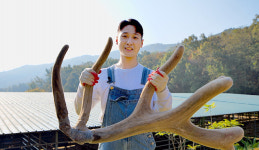 [NBS 하이라이트] 엘크 사슴 키우며 연매출 3억원