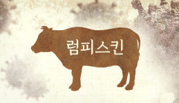 서산 한우농장서 럼피스킨 추가 발생…전국 84곳 확진