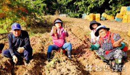 일손 부족한 곳 ‘도시농부’가 뜬다