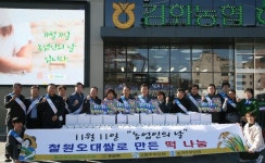 강원 철원 김화농협, 철원오대쌀로 만든 떡 나눔