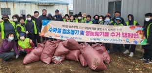 농협 함평군지부, 농가주부모임·손불농협과 함께 일손돕기
