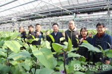 [탐방 선도농협] 경기 여주 점동농협, 전국 최고 가지 생산에 온 힘