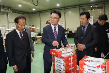 곤명농협, ‘마시뜨라 사천 딸기’ 본격 출하