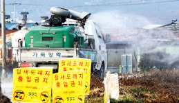 사람도 차량도 농장 출입 최소화…고병원성 AI 차단 총력