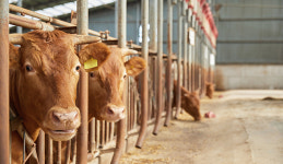 ‘가축분뇨 처리시설 및 관련기술 평가 책자’ 배포