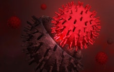 미국·한국, 호흡기 감염질환 ‘이례적’ 동시 유행…코로나19 ‘JN.1’ 변이도 확산