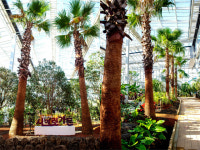 제천 아열대 스마트농장 개장…이색적인 따뜻한 겨울 선사