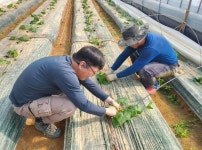충북 청주시에서 ‘신규농민 멘토-멘티 교육’으로 귀농 시작하세요!