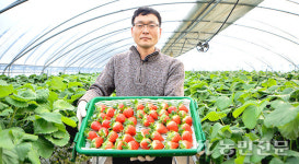[NBS 하이라이트] 딸기 수경재배로 매출 껑충