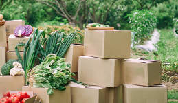 농식품 수출지원사업 설명회, 23~26일 권역별 개최