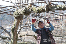 [현장 스케치] 다시 시작!