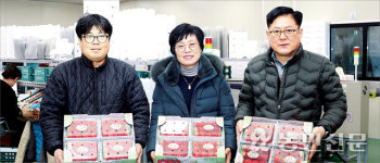 농가 조직화로 ‘청원생명딸기’ 명품화 이끌어