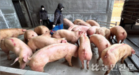 ‘중대재해처벌법’ 확대 시행…농업현장 “대응 막막”