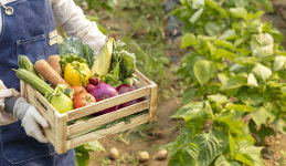농산물 값 ‘들썩’, 농가 살림살이 갈수록 ‘팍팍’