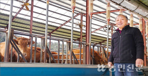 [2024 청정축산이 대세다] 축사 청결 유지…“무항생제 한우 생산 비결”