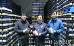 구미 무을농협, 새송이버섯 종균사업소