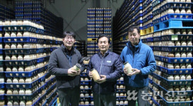 구미 무을농협, 새송이버섯 종균사업소