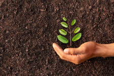 ‘치유산업 활성화’ 주체 제각각...믿고 뛰어들 수익 구조도 없다