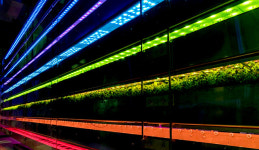 ‘수직농장’ 사실상 농업범주 포함 가닥