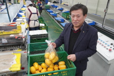 [탐방 선도농협] “친환경 성주참외, 로켓배송으로 전국에”…경북 성주 벽진농협