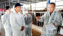 “임신 주기 길어진 번식우, 질좋은 조사료 먹여야”